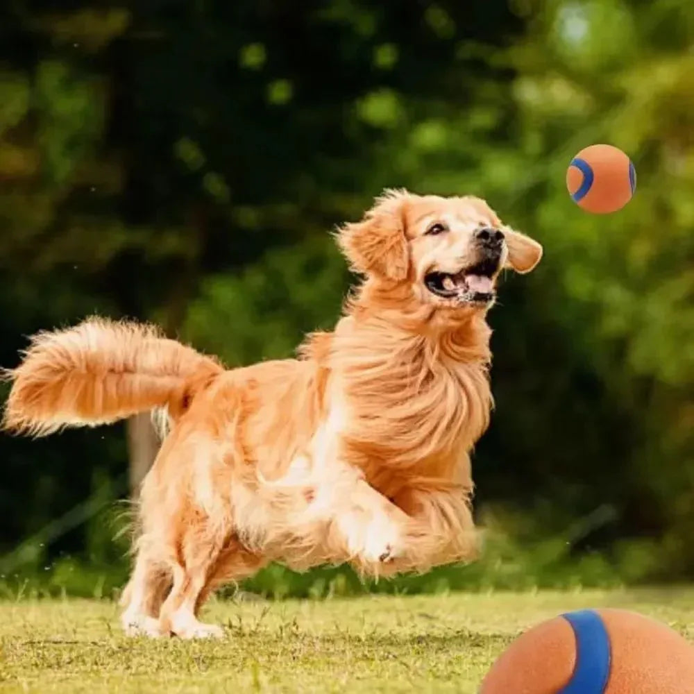 Haustier Apportierball Hundekauspielzeug