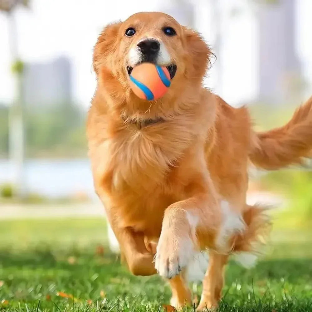 Balles à mâcher pour chien Pet Fetch