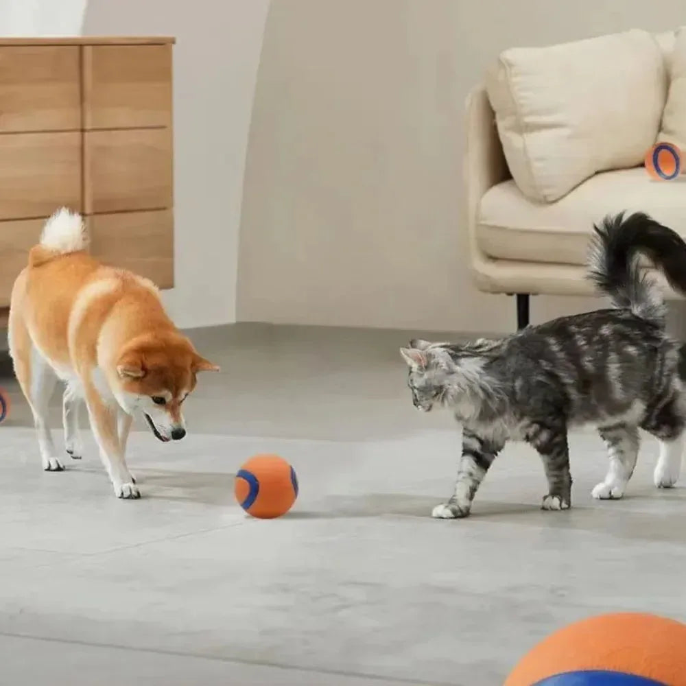 Haustier Apportierball Hundekauspielzeug