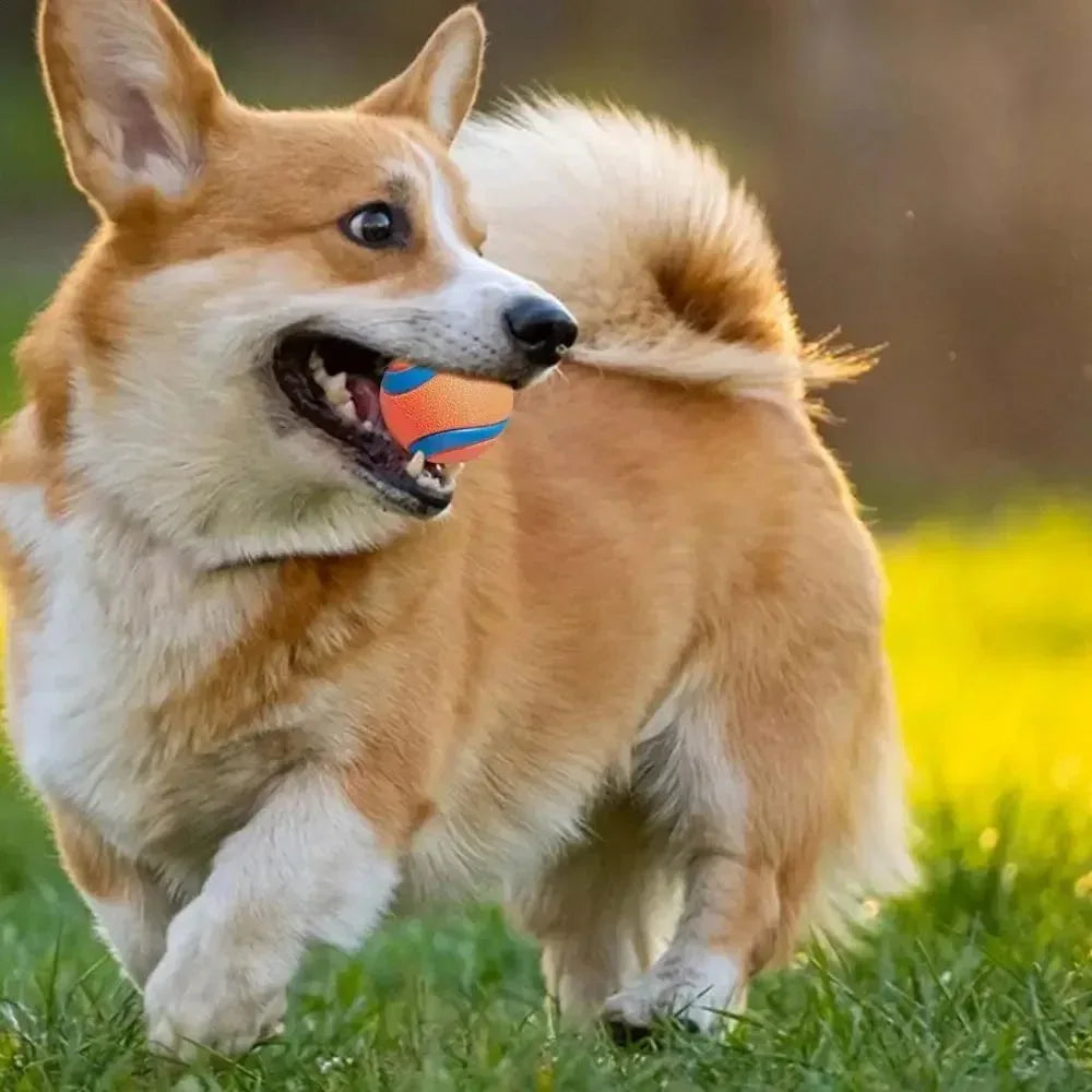 Balles à mâcher pour chien Pet Fetch