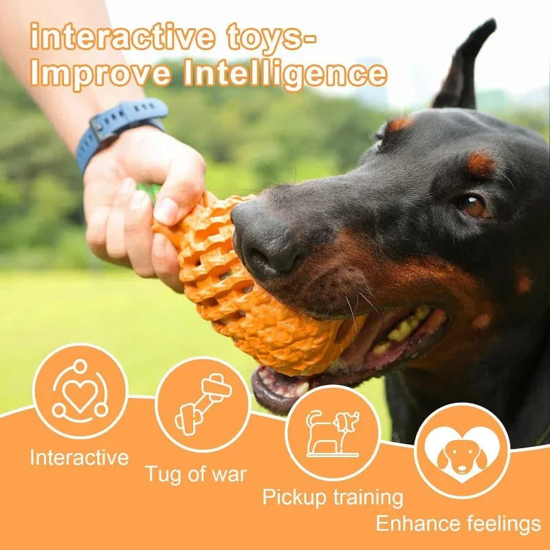 Jouets à mâcher ananas pour chiens de grandes races et races agressives