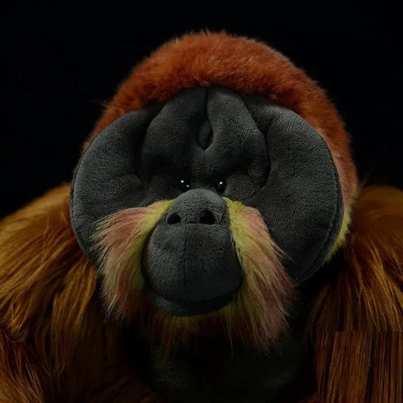 Jouet en Peluche Orang-outan en Coton PP