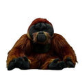 Jouet en Peluche Orang-outan en Coton PP