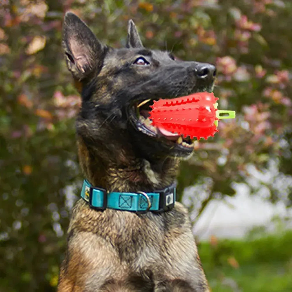 Sicheres und komfortables interaktives Hundekauspielzeug