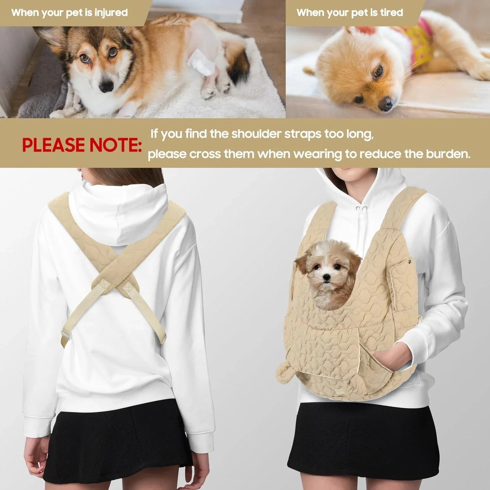 Sac de transport ventral souple, confortable et grande capacité pour animaux de compagnie (chat, chien)