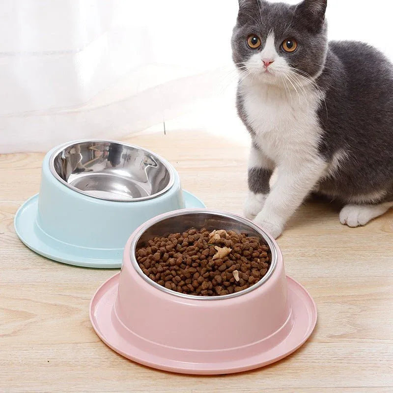 Gamelle pour chat en acier inoxydable