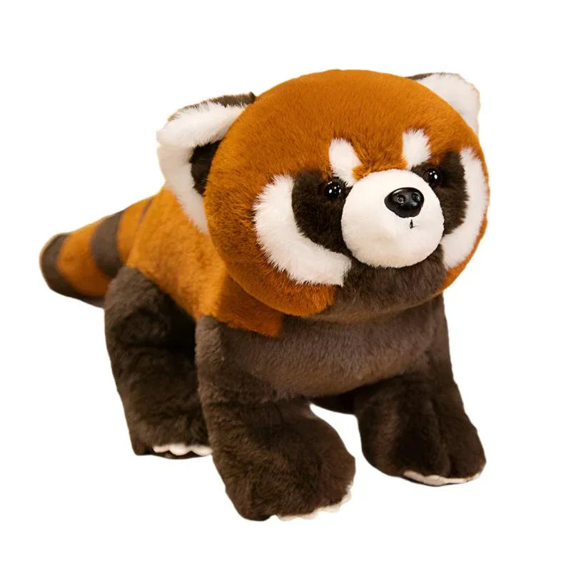 Peluche Raton Laveur Coati Mignonne Jouet en Peluche