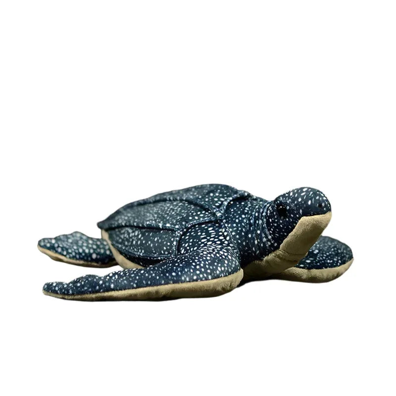 Peluche tortue
