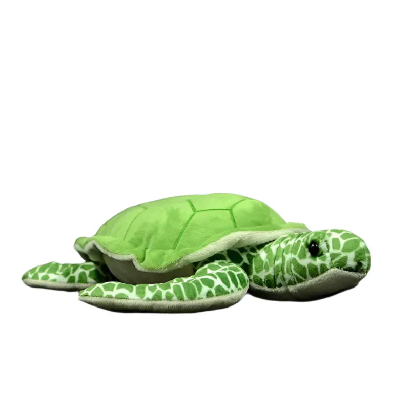 Peluche tortue